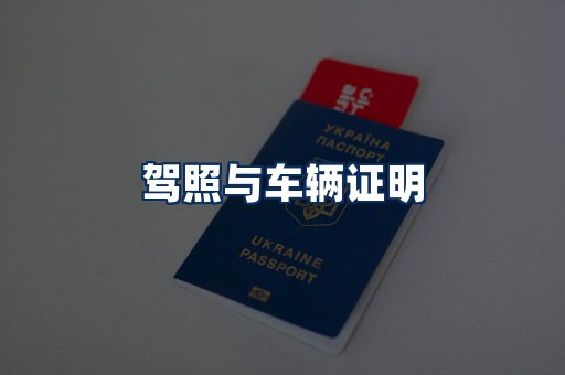 车辆证明展示